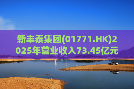 新丰泰集团(01771.HK)2025年营业收入73.45亿元,同比下降14.7% 第1张 新丰泰集团(01771.HK)2025年营业收入73.45亿元,同比下降14.7% 第1张