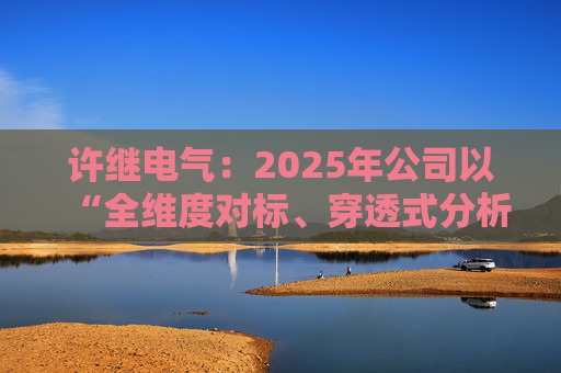 许继电气:2025年公司以“全维度对标、穿透式分析、动态化管控”为核心 第1张 许继电气:2025年公司以“全维度对标、穿透式分析、动态化管控”为核心 第1张
