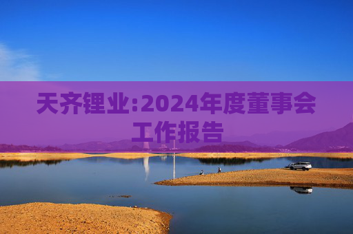 天齐锂业:2024年度董事会工作报告  第1张