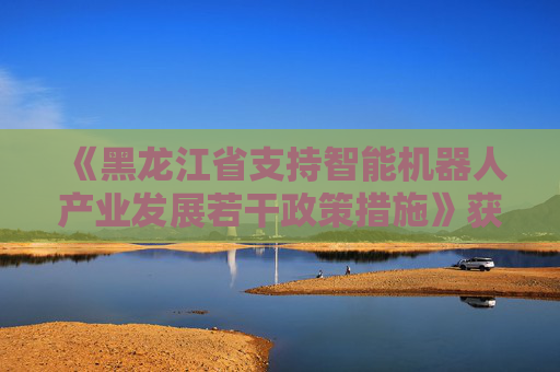 《黑龙江省支持智能机器人产业发展若干政策措施》获审议通过  第1张