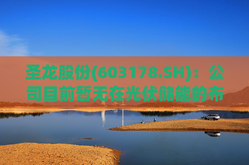 圣龙股份(603178.SH)：公司目前暂无在光伏储能的布局  第1张