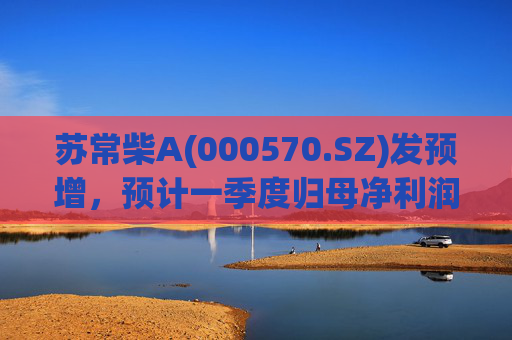 苏常柴A(000570.SZ)发预增，预计一季度归母净利润7000万元至8000万元，同比增长60.11%至82.98%  第1张