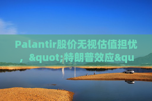 Palantir股价无视估值担忧，"特朗普效应"压倒空头  第1张