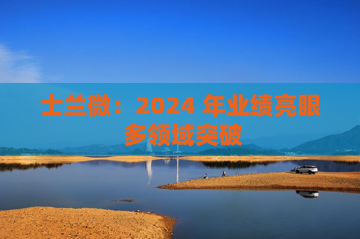 士兰微:2024 年业绩亮眼 多领域突破