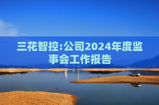 三花智控:公司2024年度监事会工作报告