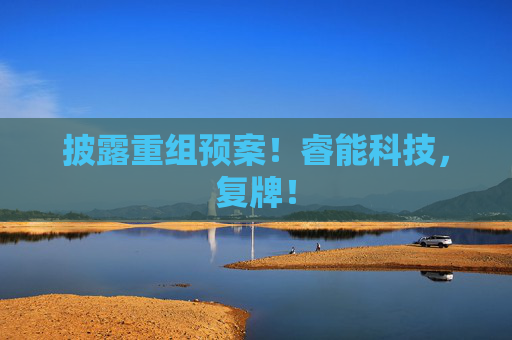 披露重组预案！睿能科技，复牌！