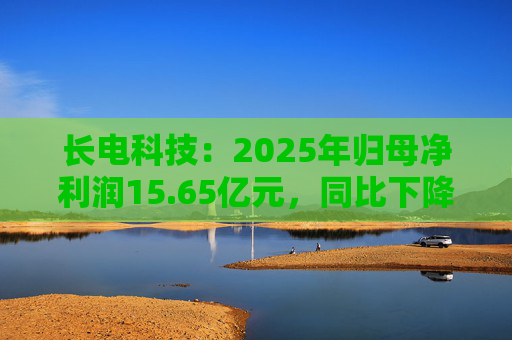 长电科技：2025年归母净利润15.65亿元，同比下降2.75%