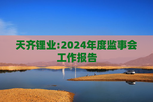 天齐锂业:2024年度监事会工作报告  第1张