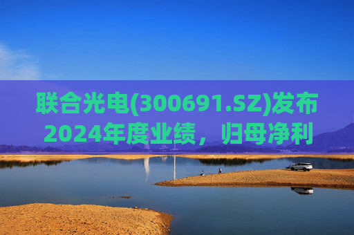 联合光电(300691.SZ)发布2024年度业绩，归母净利润3856.29万元，同比下降40.02%  第1张