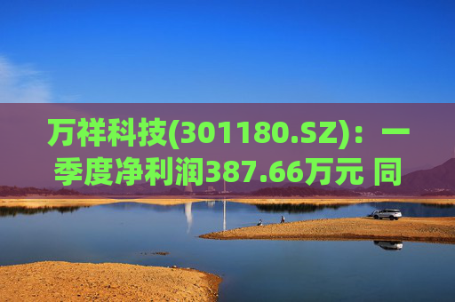万祥科技(301180.SZ):一季度净利润387.66万元 同比增加2125.47%