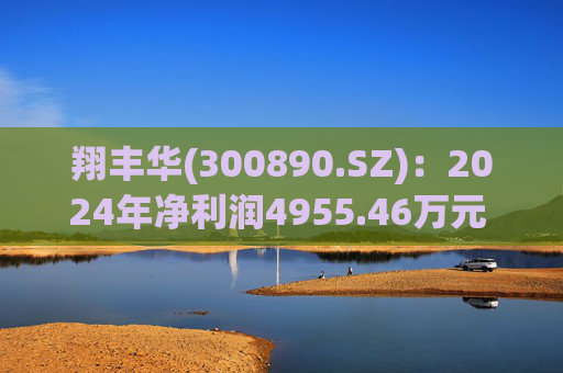 翔丰华(300890.SZ):2024年净利润4955.46万元 同比下降40.23%