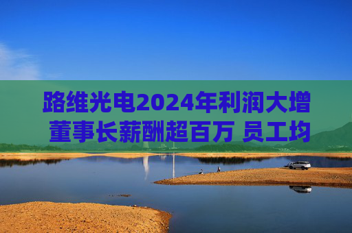 路维光电2024年利润大增 董事长薪酬超百万 员工均薪亦涨