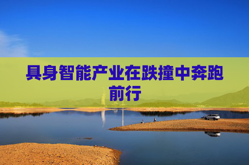 具身智能产业在跌撞中奔跑前行