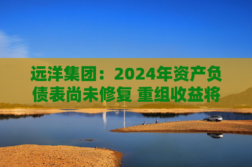 远洋集团：2024年资产负债表尚未修复 重组收益将于2025年释放  第1张