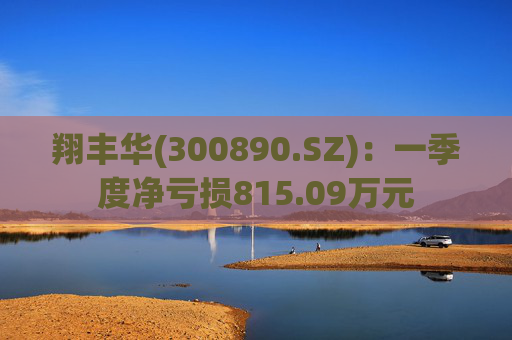 翔丰华(300890.SZ)：一季度净亏损815.09万元