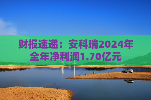 财报速递：安科瑞2024年全年净利润1.70亿元  第1张