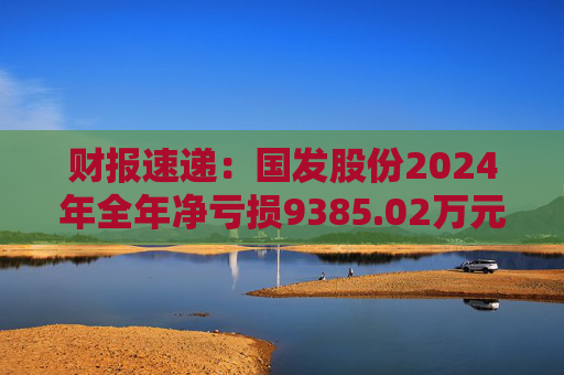财报速递：国发股份2024年全年净亏损9385.02万元