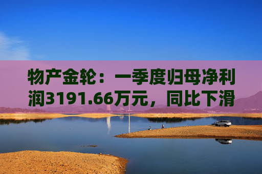 物产金轮：一季度归母净利润3191.66万元，同比下滑7.43%  第1张