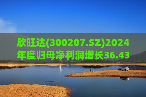 欣旺达(300207.SZ)2024年度归母净利润增长36.43%至14.68亿元，动力电池出货量合计25.29GWh