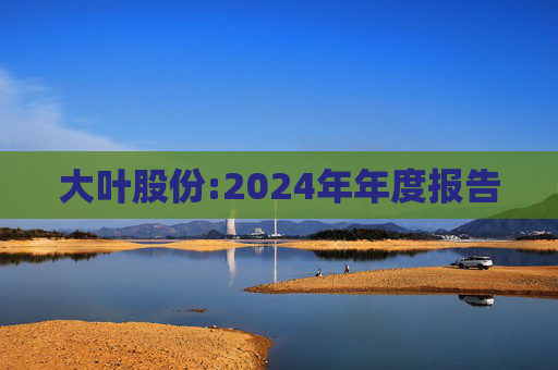 大叶股份:2024年年度报告  第1张