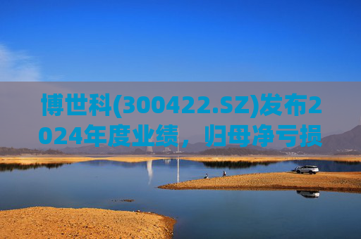 博世科(300422.SZ)发布2024年度业绩，归母净亏损8.65亿元，扩大300.66%