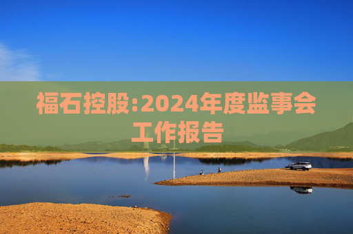 福石控股:2024年度监事会工作报告