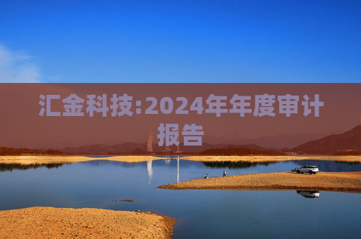 汇金科技:2024年年度审计报告