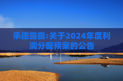 承德露露:关于2024年度利润分配预案的公告  第1张
