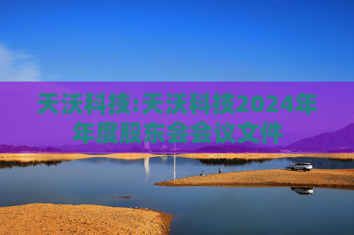 天沃科技:天沃科技2024年年度股东会会议文件  第1张