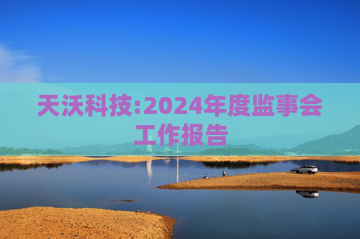 天沃科技:2024年度监事会工作报告  第1张