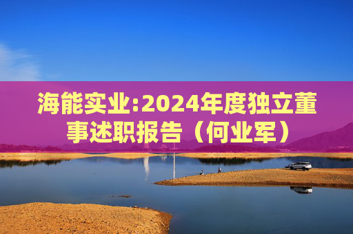 海能实业:2024年度独立董事述职报告(何业军)