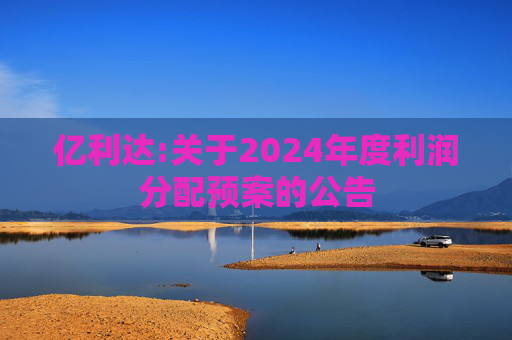 亿利达:关于2024年度利润分配预案的公告  第1张