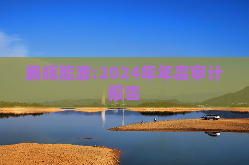 鹏辉能源:2024年年度审计报告  第1张
