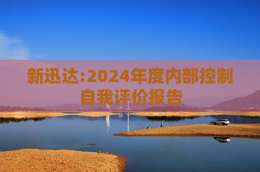 新迅达:2024年度内部控制自我评价报告