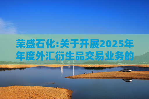荣盛石化:关于开展2025年年度外汇衍生品交易业务的公告