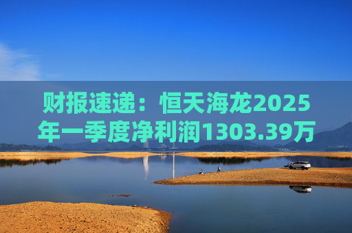 财报速递:恒天海龙2025年一季度净利润1303.39万元 第1张 财报速递:恒天海龙2025年一季度净利润1303.39万元 第1张
