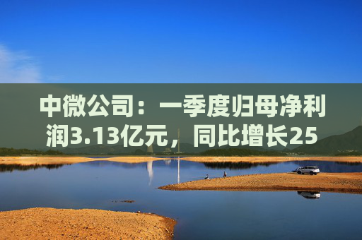 中微公司：一季度归母净利润3.13亿元，同比增长25.67%