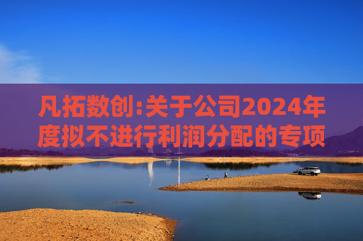凡拓数创:关于公司2024年度拟不进行利润分配的专项说明