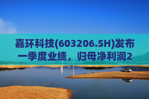 嘉环科技(603206.SH)发布一季度业绩，归母净利润2021.72万元，同比下降21.02%