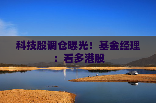 科技股调仓曝光！基金经理：看多港股