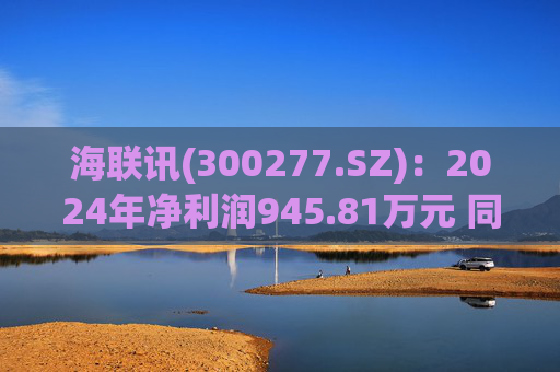 海联讯(300277.SZ)：2024年净利润945.81万元 同比下降12.5%  第1张