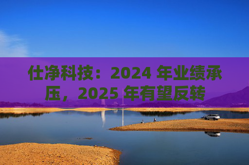 仕净科技：2024 年业绩承压，2025 年有望反转