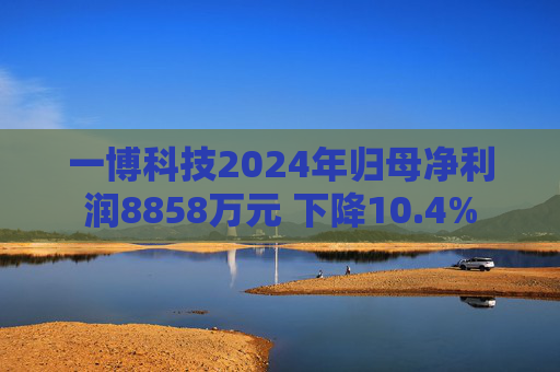 一博科技2024年归母净利润8858万元 下降10.4%