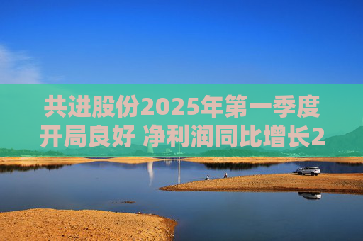 共进股份2025年第一季度开局良好 净利润同比增长267.63%