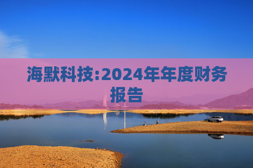 海默科技:2024年年度财务报告  第1张