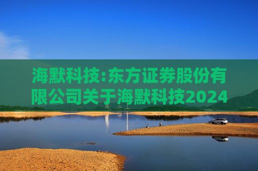 海默科技:东方证券股份有限公司关于海默科技2024年年度持续督导跟踪报告  第1张