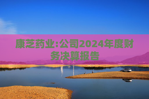 康芝药业:公司2024年度财务决算报告  第1张