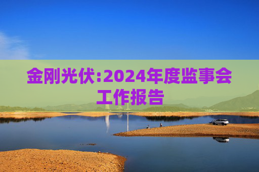 金刚光伏:2024年度监事会工作报告  第1张