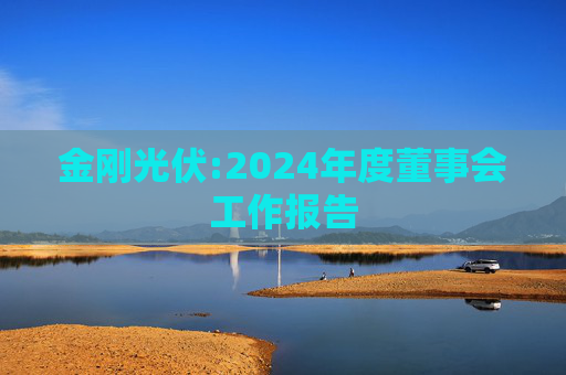金刚光伏:2024年度董事会工作报告  第1张