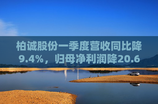 柏诚股份一季度营收同比降9.4%，归母净利润降20.6%  第1张